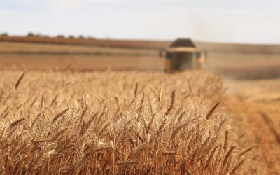 Matériel agricole dans le Bas-Rhin : optimisez votre exploitation avec V&GA Lorraine