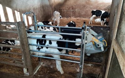 Comment choisir le bon matériel d’élevage bovin dans la Meuse pour votre ferme ?