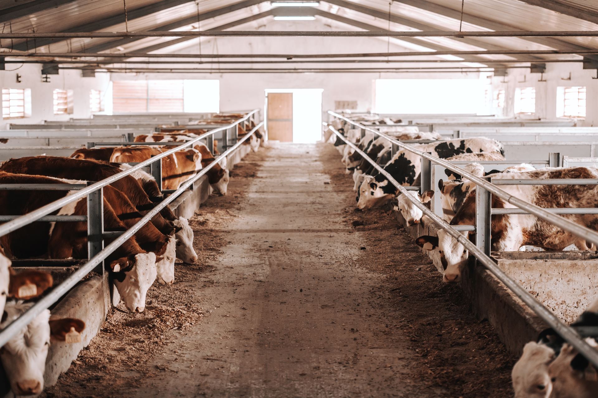 Rénovation bâtiment agricole dans les Vosges